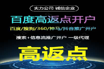 百度竞价广告与自然搜索排名的结合策略案例